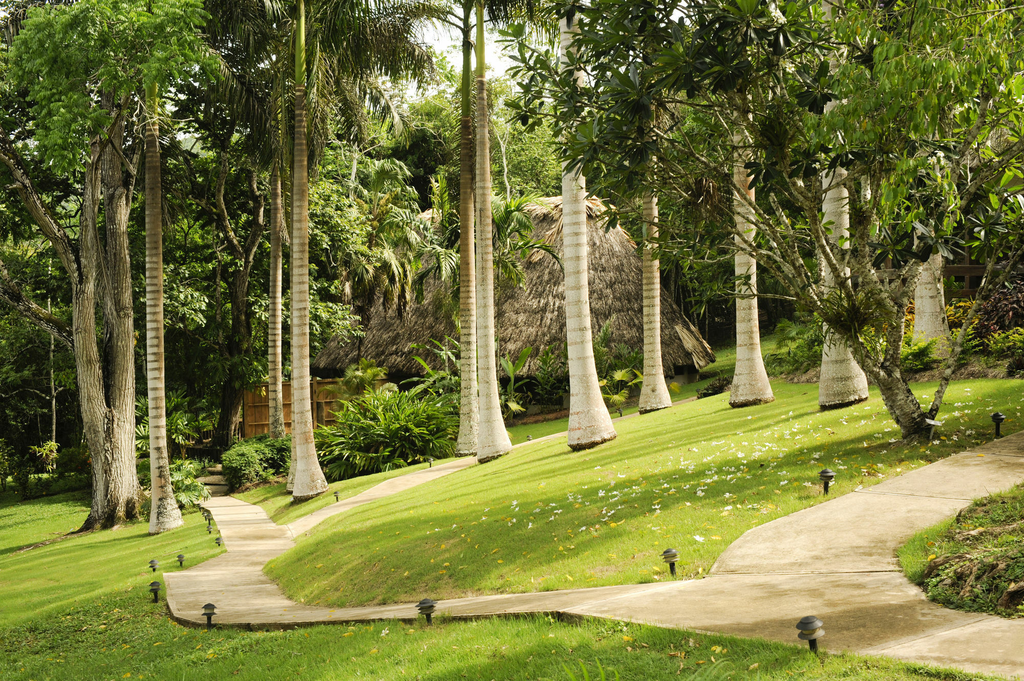 The Lodge At Chaacreek San Ignacio Exterior foto